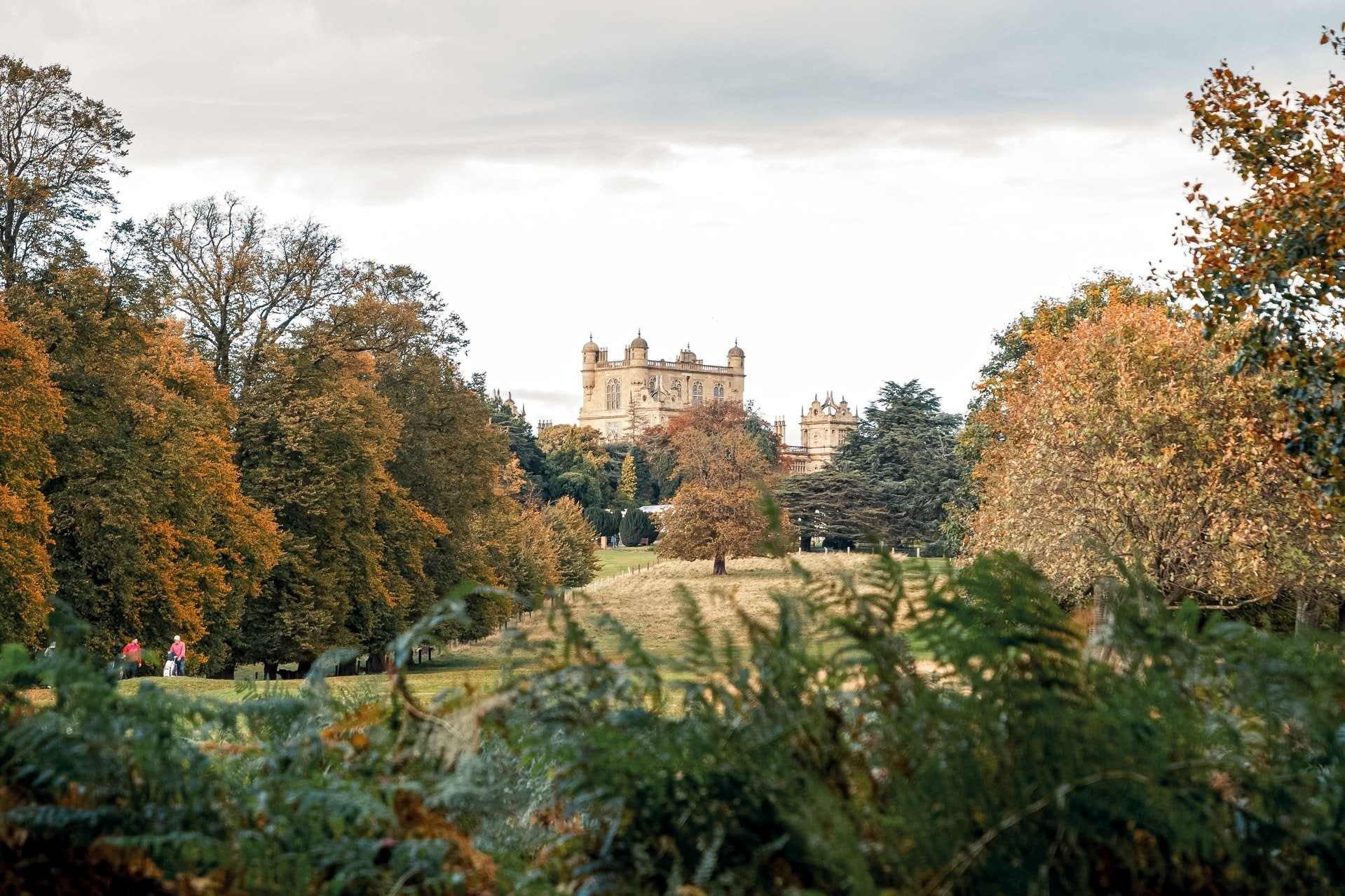 view-of-wollaton-hall-country-house-from-behind-bush-across-park