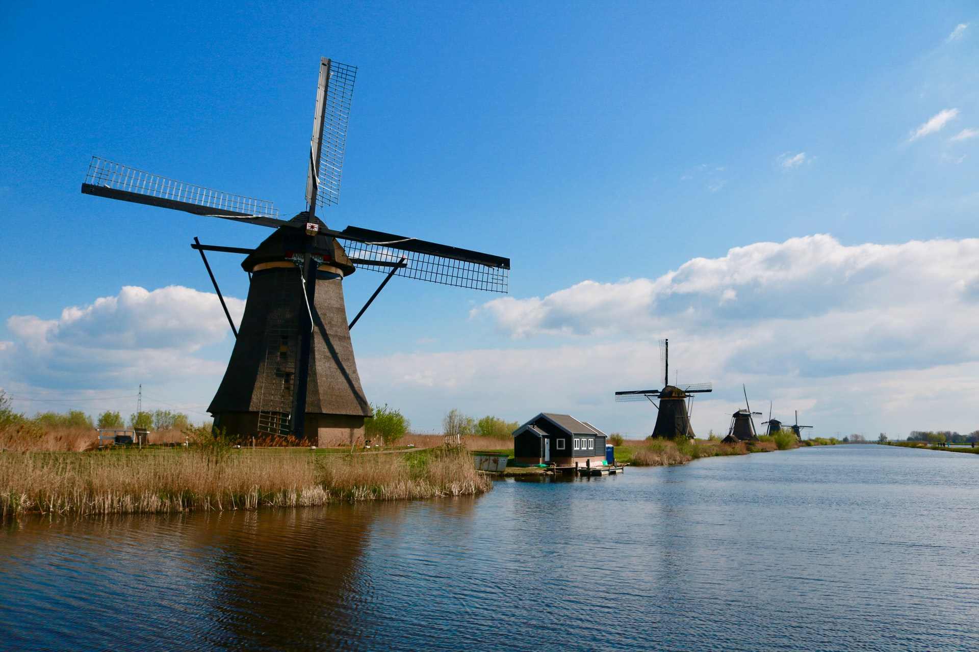 Nature the Netherlands: 11 Beautiful Places You Need [2022]