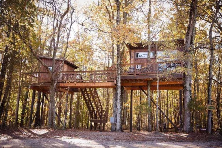 Exterior Of The Big Nick Treehouse At Cherry Treesort Treehouse Rentals Nc 768x512 